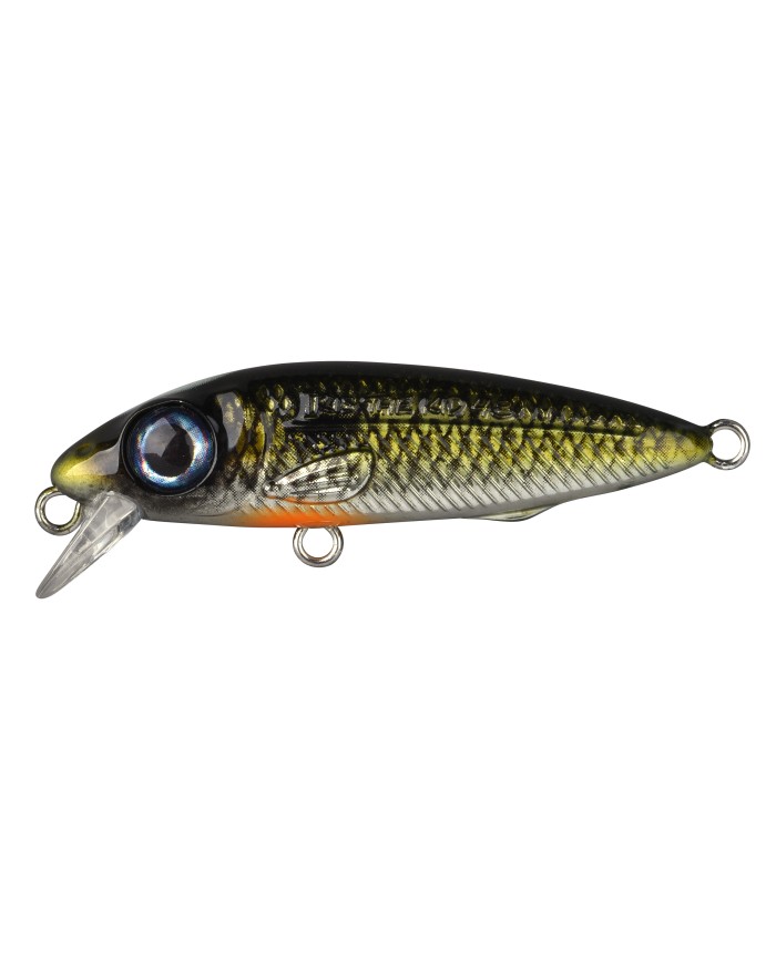 Wobler Spro Iris The Kid Hardlure Shad 4,8cm 6g