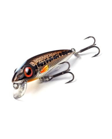 Wobler Spro Iris The Kid Hardlure R.Trout 4,8cm 6g Wobler Spro Iris The Kid Hardlure R.Trout 4,8cm 6g