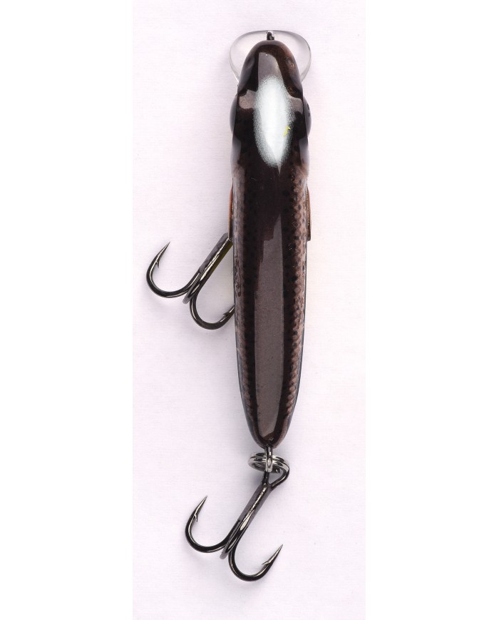 Wobler Spro Iris The Kid Hardlure Nor. Pike 4,8cm 6g