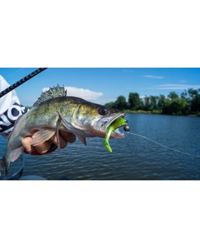 Guma Lucky John Zander Paddle Tail 4,8" 12cm - Z06 Guma Lucky John Zander Paddle Tail 4,8" 12cm - Z06