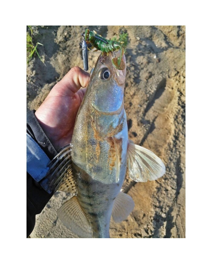 Guma Lucky John Alien Bug 1,5" 3.8cm - X085