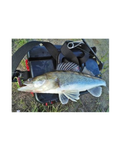 Guma Lucky John Alien Bug 1,5" 3.8cm - T44 Guma Lucky John Alien Bug 1,5" 3.8cm - T44