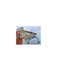 Guma Lucky John Minnow 2,2" 5.6cm - T05