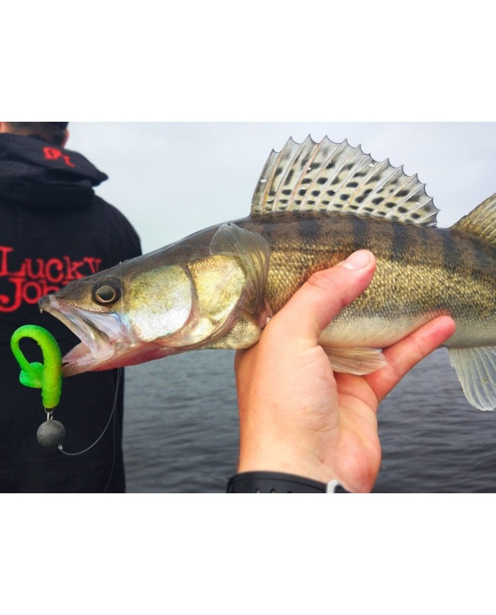 Guma Lucky John Minnow 2,2" 5.6cm - T18