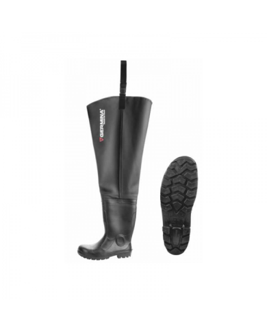 Wodery Genlog Roz. 44 Wodery Genlog Roz. 44