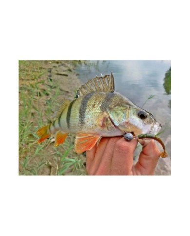 Guma Lucky John Tioga 2" 5.1cm - PA03 Guma Lucky John Tioga 2" 5.1cm - PA03