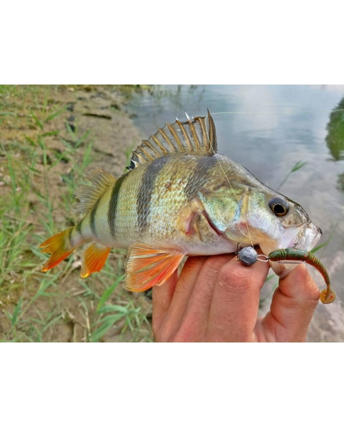 Guma Lucky John Tioga 2" 5.1cm - PA03