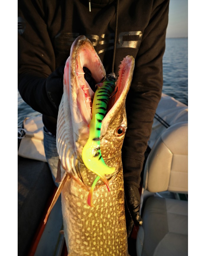 Guma Spro Iris Shocktail 20cm Firetiger