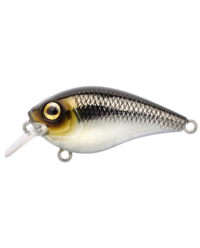 Wobler Spro Ikiru Crank Pompano 4.5cm Wobler Spro Ikiru Crank Pompano 4.5cm