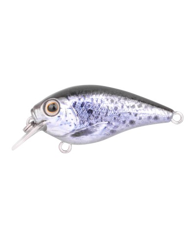 Wobler Spro Ikiru Crank Sea Trout 4.5cm Wobler Spro Ikiru Crank Sea Trout 4.5cm