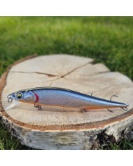 Wobler GERMINA Asp 10cm 10.5g Silver